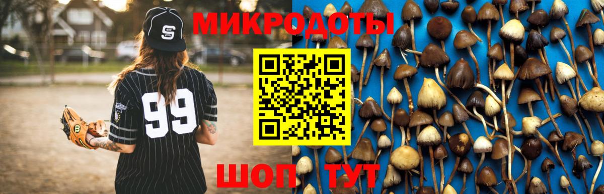 Псилоцибиновые грибы Cubensis Нефтекумск